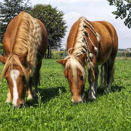 Ons Binkje Σπίτι διακοπών