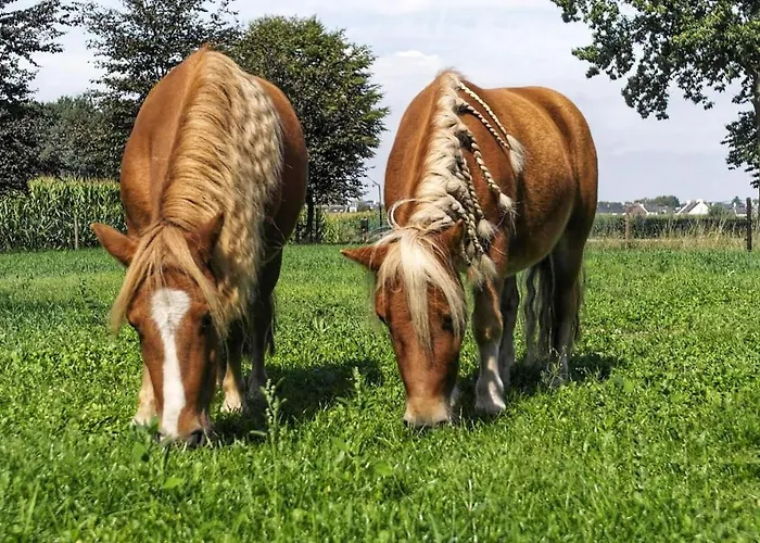 Ons Binkje Σπίτι διακοπών